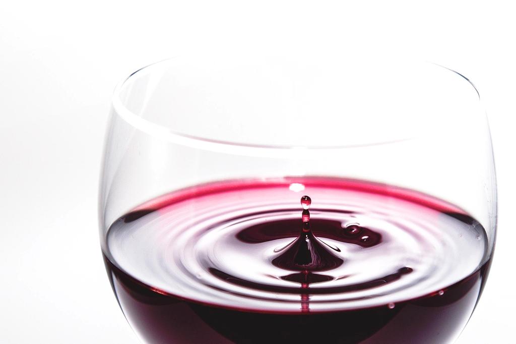 Sommelier esperto che illustra una degustazione vini